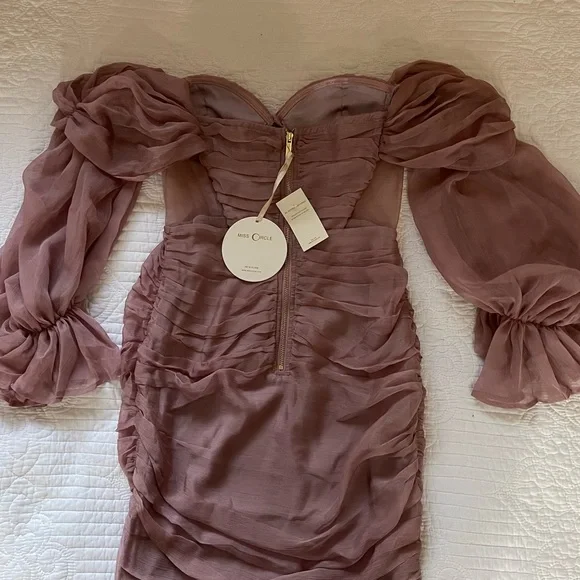 Miss Circle Sirene Blush Silk pleated off shoulder balloon sleeve dress. - Picture 5 of 5